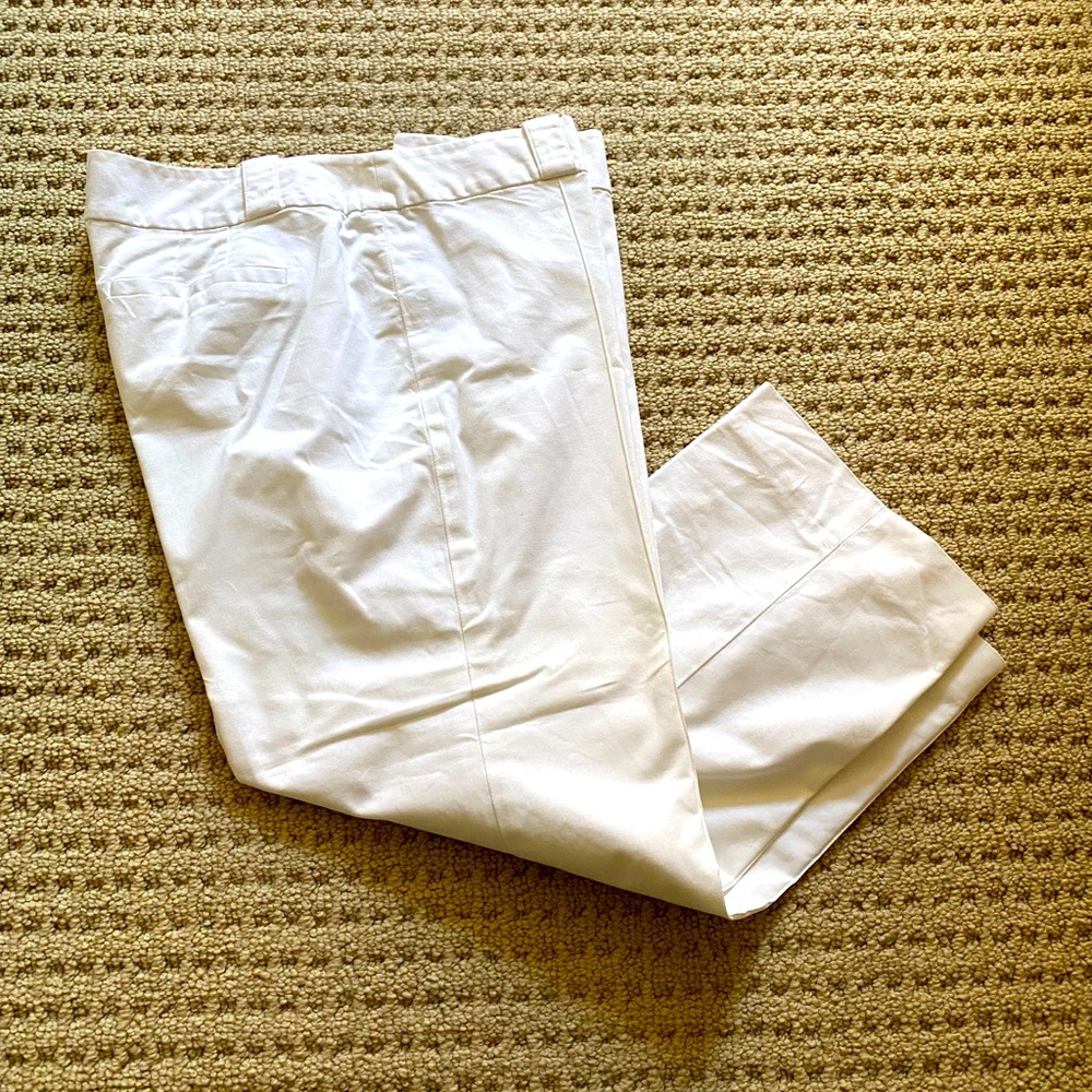 Ann Taylor Capri Pants